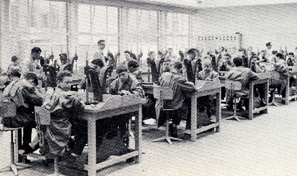 �_�C�������h�������w�Z